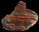 Polished Tiger Iron Stromatolite - ( Billion Years) #38917-1